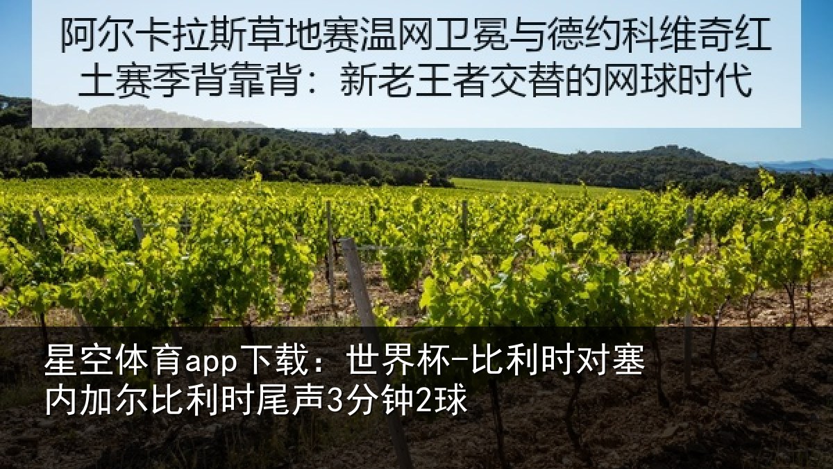 星空体育app下载:世界杯-比利时对塞内加尔比利时尾声3分钟2球