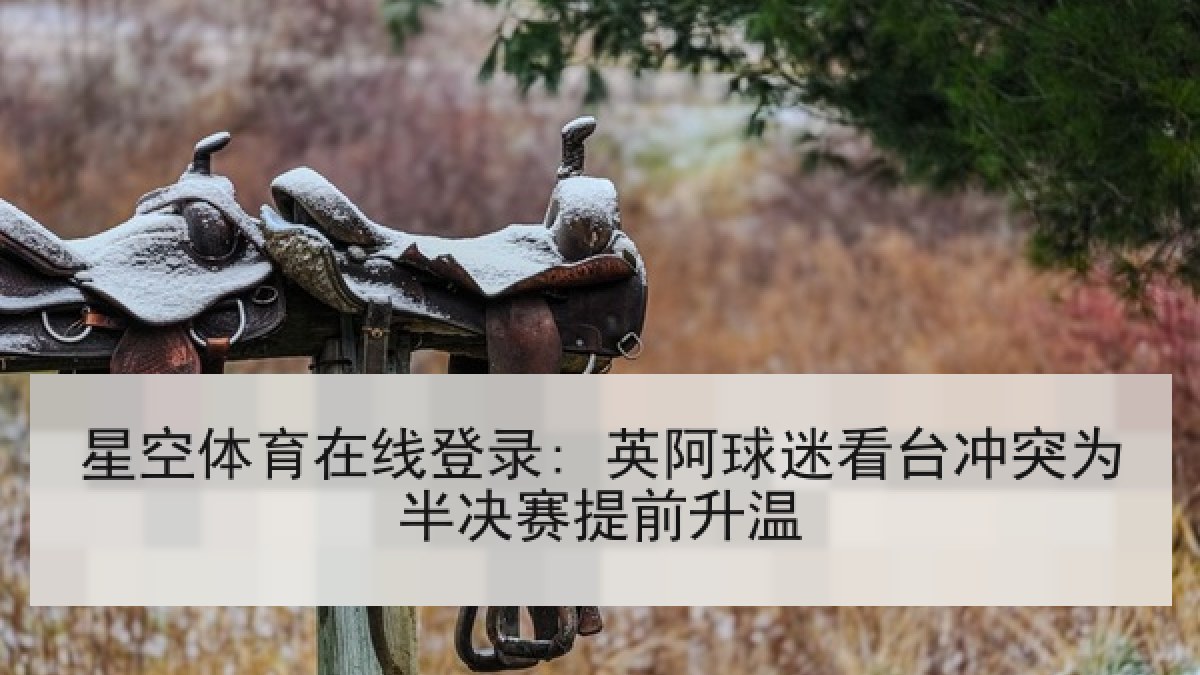 星空体育在线登录: 英阿球迷看台冲突为半决赛提前升温