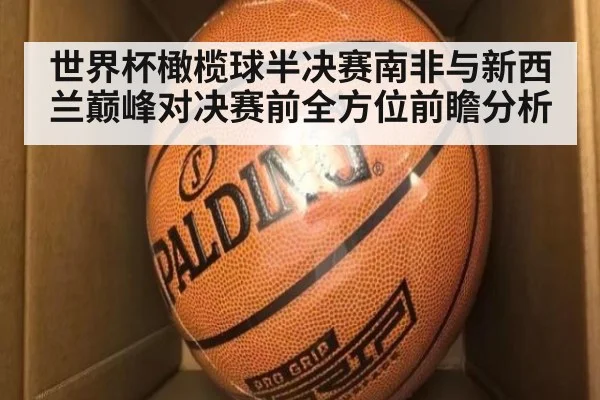 世界杯橄榄球半决赛南非与新西兰巅峰对决赛前全方位前瞻分析